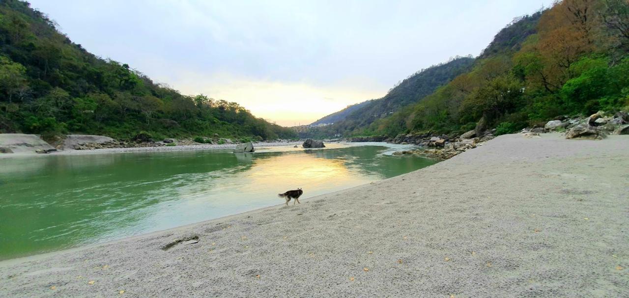 Divine Ganga Cottage Rishikesh Exterior photo